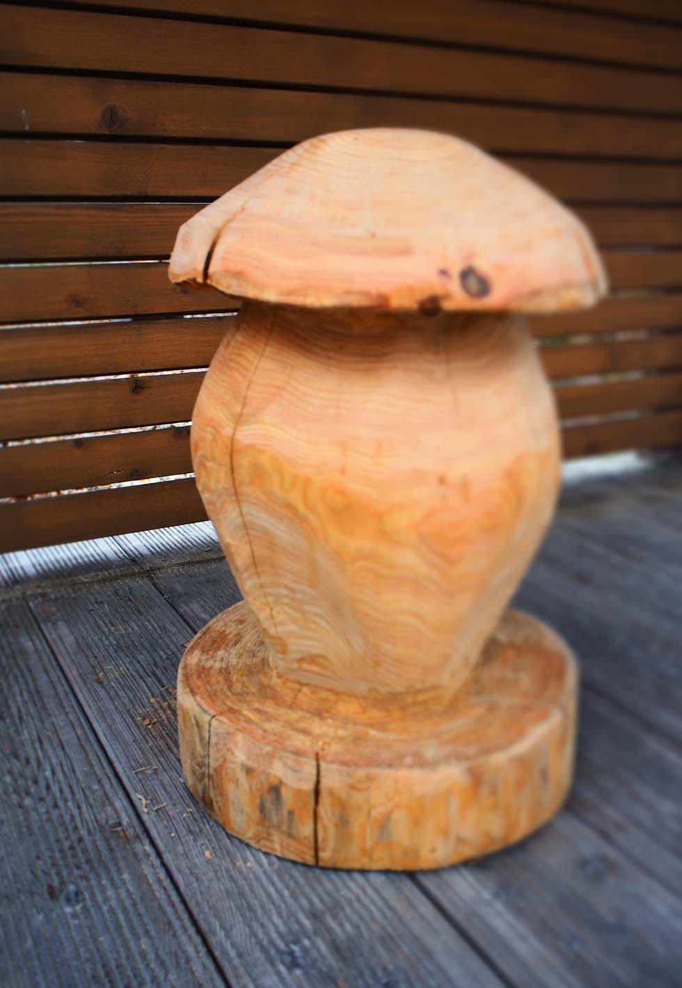 Kettensägenkunst - Pilz aus Holz bei Holzwerk Haidt kaufen